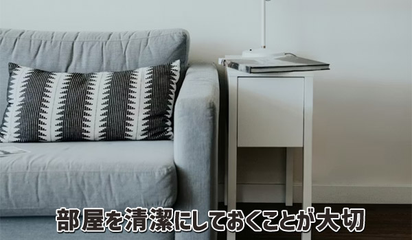 部屋を清潔にしておくことが大切