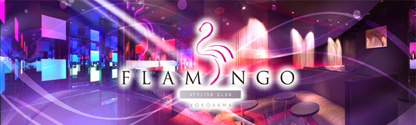 横浜フラミンゴ