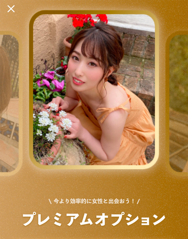 様々な機能が使えるようになる